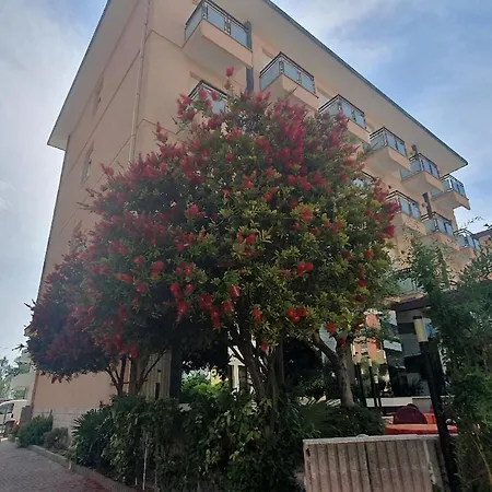 Conti 3*